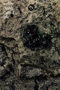 Something Called Life