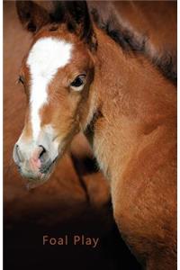 Pocket Password Book (Foal Play)