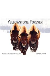 Yellowstone Forever