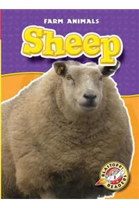 Sheep