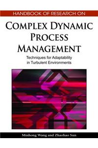 Handbook of Research on Complex Dynamic Process Management: Techniques for Adaptability in Turbulent Environments