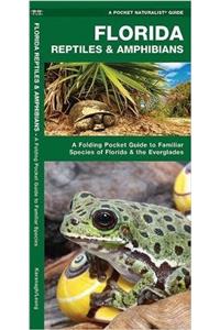 Florida Reptiles & Amphibians