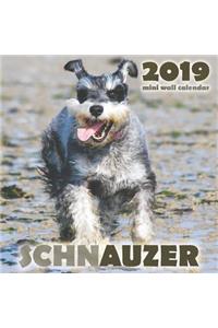 Schnauzer 2019 Mini Wall Calendar