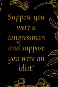 Suppose you were a congressman and suppose you were an idiot!