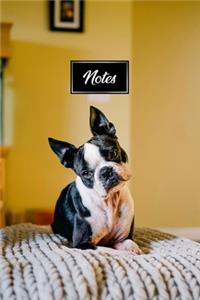 Boston Terrier Dog Pup Puppy Doggie Notebook Bullet Journal Diary Composition Book Notepad - Twisted Head
