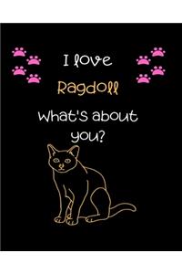 I love Ragdoll, What's about you?