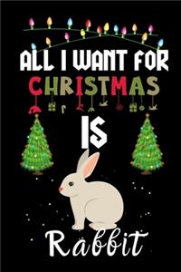 All I Want For Christmas Is Rabbit