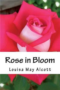 Rose in Bloom