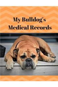 My Bulldog's Medical Records