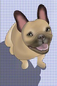 French Bulldog