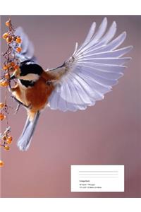 Bird Composition Notebook