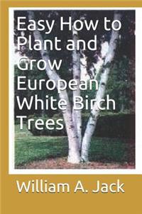 Easy How to Plant and Grow European White Birch Trees