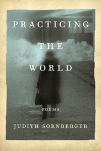 Practicing the World