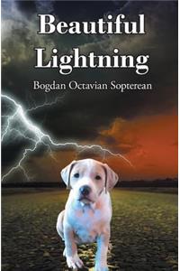 Beautiful Lightning
