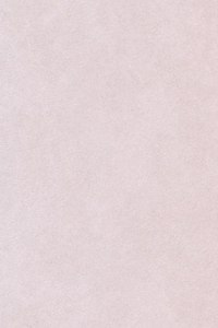 Nederduytsche Poemata