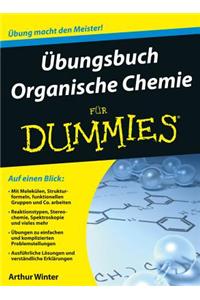 UEbungsbuch Organische Chemie fur Dummies