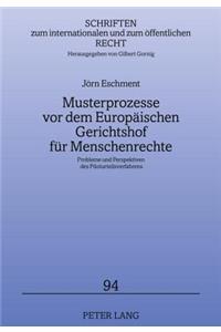 Musterprozesse VOR Dem Europaeischen Gerichtshof Fuer Menschenrechte