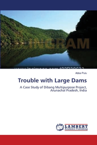 Trouble with Large Dams