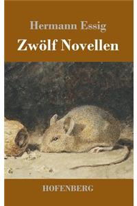 Zwölf Novellen