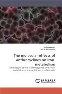 molecular effects of anthracyclines on iron metabolism