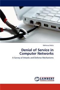 Denial of Service in Computer Networks