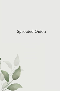 Sprouted Onion Characterization, Functionality and Utilization