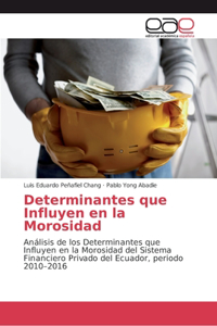 Determinantes que Influyen en la Morosidad