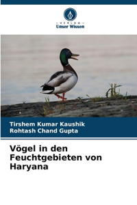 Vögel in den Feuchtgebieten von Haryana