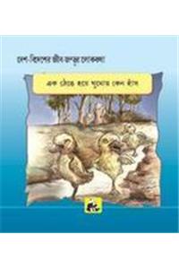 Desh-Videsh Ke Jeev-Jantuon Ki Lok-Kathaen - Batakhein Kyon Sothi Hei Ek Taang Par