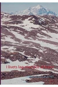 I livets lag med lidt af hvert