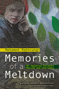 Memories of a Meltdown