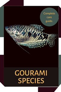 Aquarium fish Gourami.