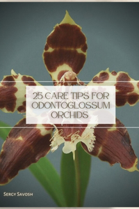 25 Care tips for Odontoglossum Orchids