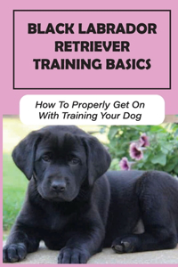 Black Labrador Retriever Training Basics
