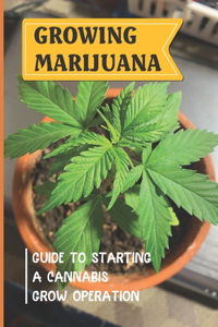 Growing Marijuana