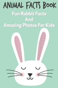 Animal Facts Book Fun Rabbit Facts And Amazing Photos For Kids