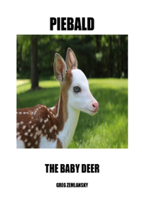 Piebald the Baby Deer