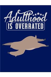 Adulthood Is Overrated