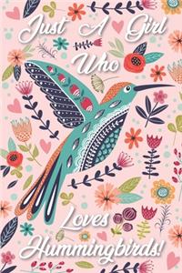 Hummingbird Journal - Hummingbird Gift