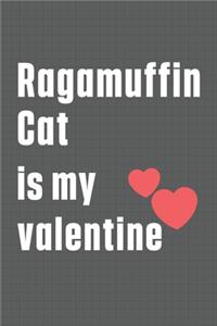 Ragamuffin Cat is my valentine