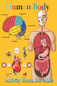 Human Body Activity Book for Kids