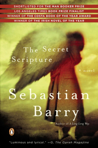 Secret Scripture