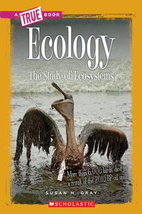 Ecology: The Study of Ecosystems