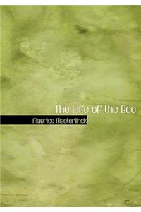 The Life of the Bee