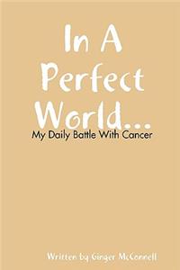 In A Perfect World