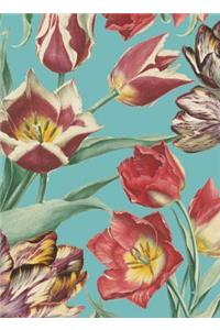 Rhs Tulips Boxed Notecards