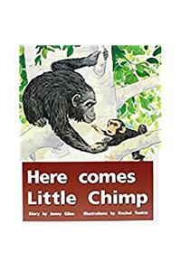 Here Comes Little Chimp