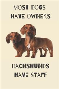 Most Dogs Have Owners - Dachshunds Have Staff
