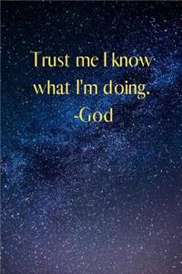 Trust me I know what I'm doing.- God