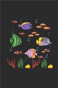 Fish With Corals